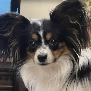 Fundraising Page: Donna Winter